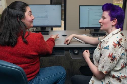 Two students talk to each other in the computer lab of the library